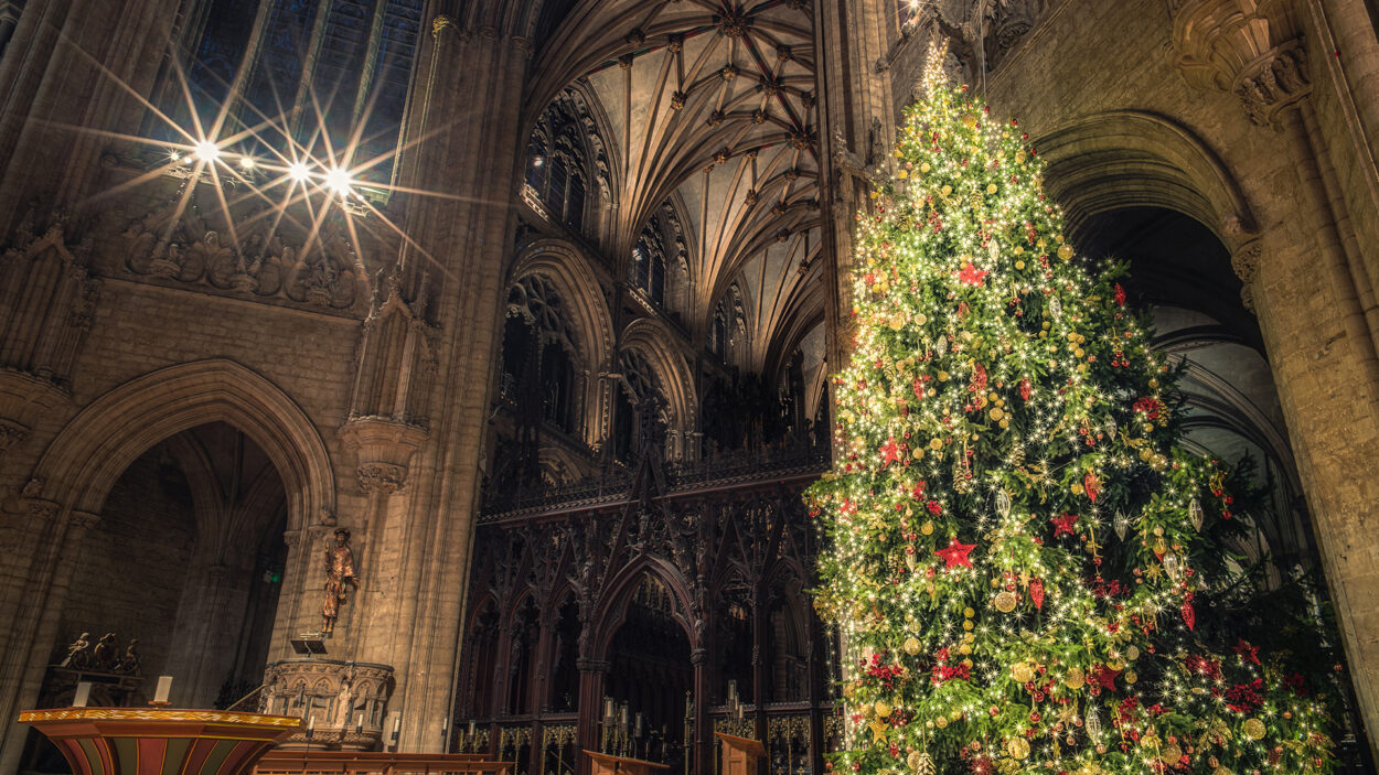 https://cdn.elycathedral.org/uploads/images/Christmas-Tree/_content_image_large/Christmas-Tree-2.jpg?v=1769111282%2C0.6851%2C0.2542