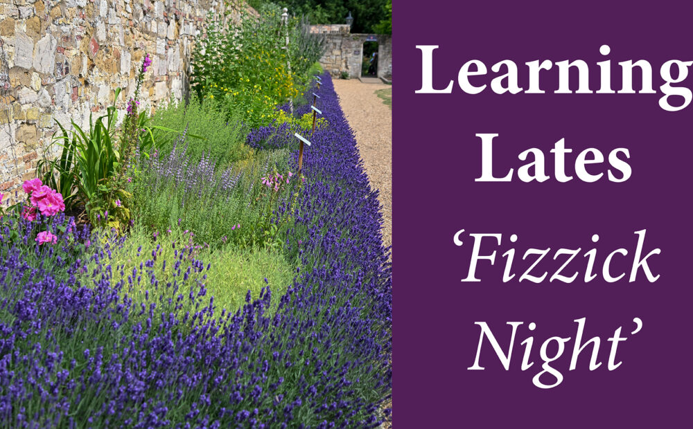 Learning Lates: Fizzick Night