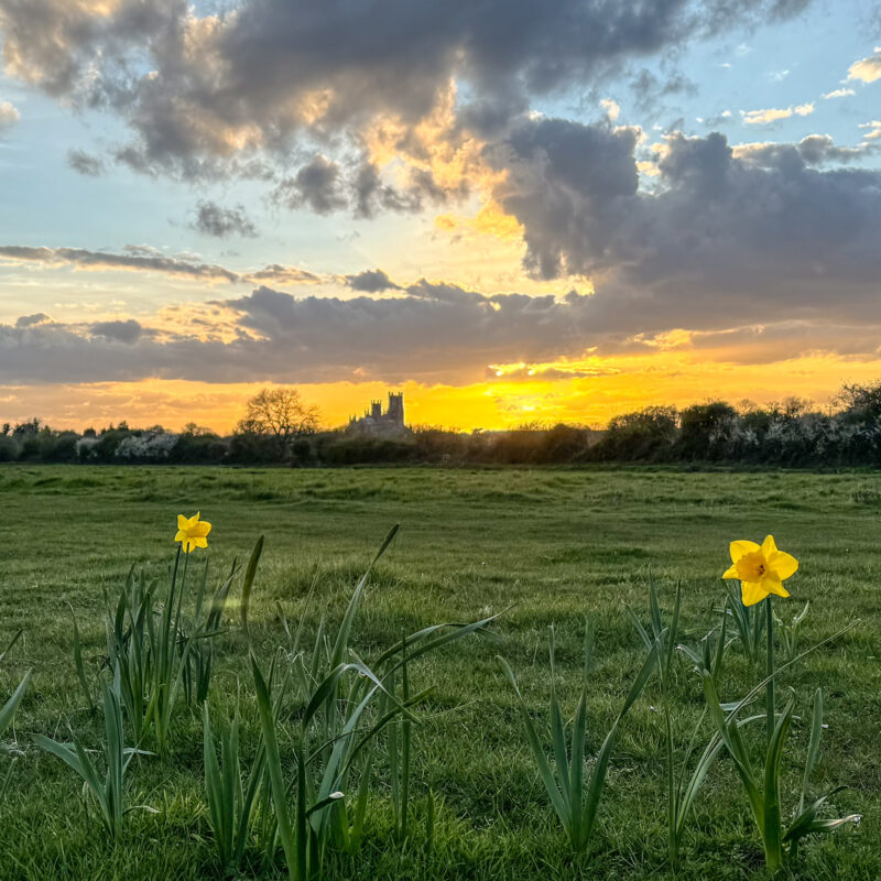 Spring card by Veronica in the Fens