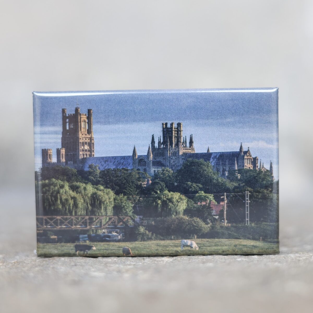 Image of Ely Cathedral Magnet - South view