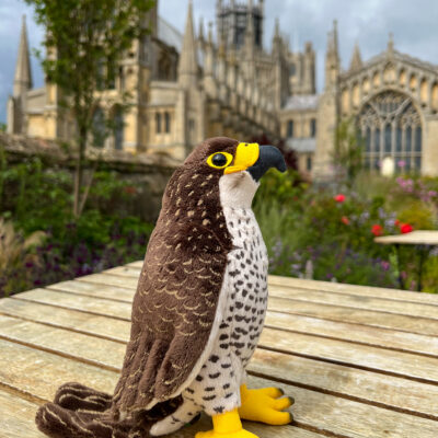 Thumbnail image of Peregrine Falcon Soft Toy